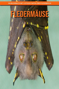 Fledermäuse