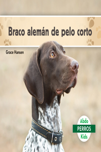 Braco Alemán de Pelo Corto