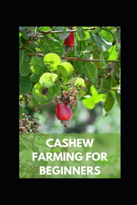 Cashew Farming for Beginners