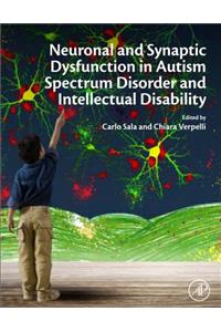 Neuronal and Synaptic Dysfunction in Autism Spectrum Disorder and Intellectual Disability