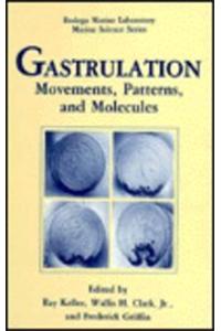 Gastrulation