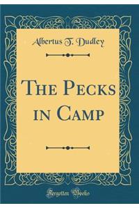 The Pecks in Camp (Classic Reprint)