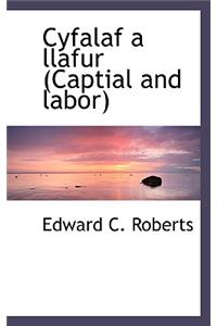 Cyfalaf a Llafur (Captial and Labor)