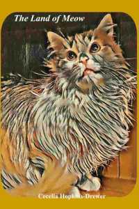 The Land of Meow