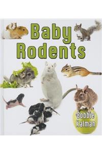 Baby Rodents