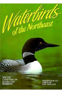 Waterbirds of the Northeast