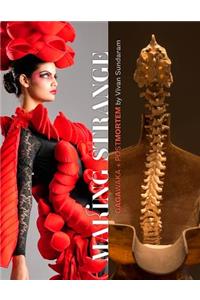 Making Strange: Gagawaka + Postmortem by Vivan Sundaram