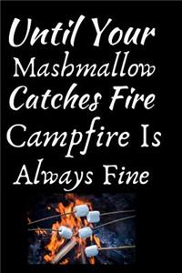 Until Your Mashmallow Catches Fire Campfire Is Always Fine