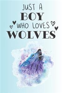 Just A Boy Who Loves Wolves