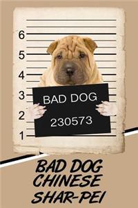 Bad Dog Chinese Shar-Pei