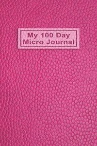 My 100 Day Micro Journal