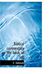 Biblical Commentary on the Book of Job