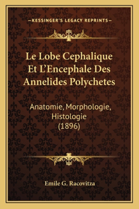 Le Lobe Cephalique Et L'Encephale Des Annelides Polychetes