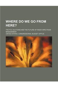 Where Do We Go from Here?; The FCC Auctions and the Future of Radio Spectrum Management