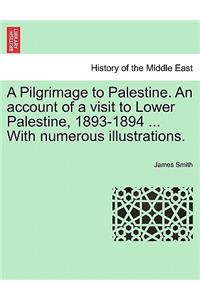 Pilgrimage to Palestine. an Account of a Visit to Lower Palestine, 1893-1894 ... with Numerous Illustrations.