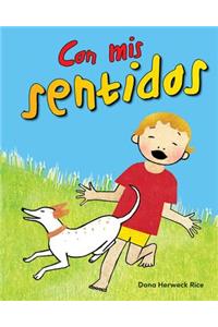 Con MIS Sentidos (with My Senses) Lap Book (Spanish Version)