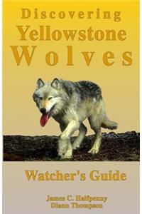 Discovering Yellowstone Wolves