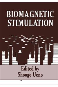 Biomagnetic Stimulation