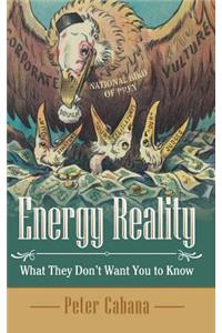 Energy Reality