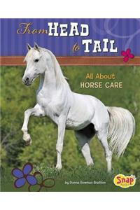 From Head to Tail