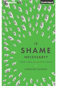 Is Shame Necessary?