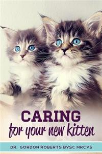 Caring for Your New Kitten