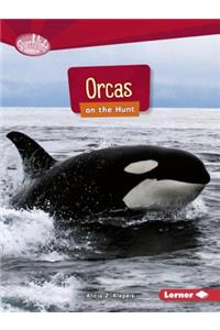 Orcas on the Hunt