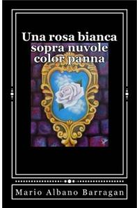 Una rosa bianca sopra nuvole color panna