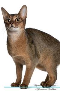 Abyssinian Cat Affirmations Workbook Abyssinian Cat Presents