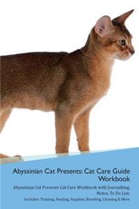 Abyssinian Cat Presents