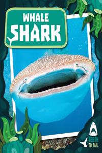 Whale Shark