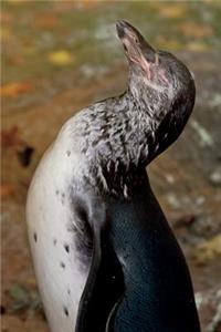 Sleeping Penguin Journal