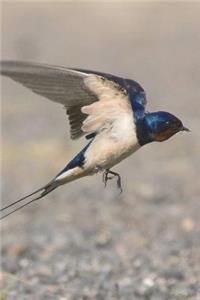 Flying Barn Swallow Bird Journal