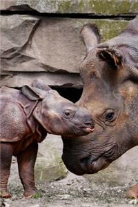 So Sweet Close-Up Portrait of Mother and Baby Rhinoceros Animal Journal