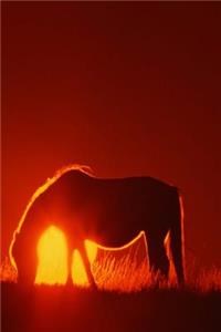 Journal Horse Red Sunset Equine