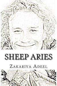 Sheep Aries