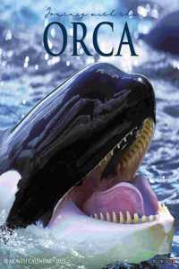 Orca (Journey with The) 2023 Wall Calendar