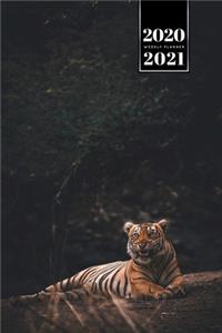 Tiger Week Planner Weekly Organizer Calendar 2020 / 2021 - Glittering Light