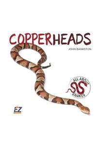 Copperheads