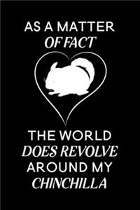 As a matter of fact the world does revolve around my Chinchilla