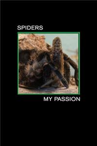 Spiders my Passion