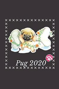 Pug 2020