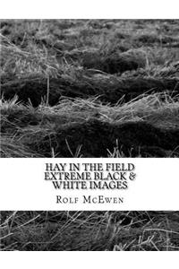 Hay in the Field - Extreme Black & White Images