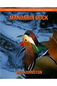 Mandarin Duck: Amazing Pictures & Fun Facts on Animals in Nature