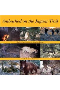 Ambushed on the Jaguar Trail