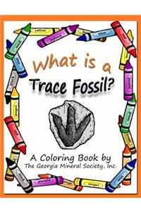 What Is a Trace Fossil?