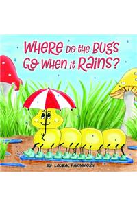 Where Do the Bugs Go When it Rains?