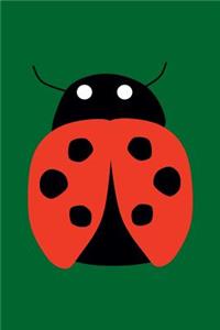 Blank Notebook - 100 Pages - Ladybug on Green
