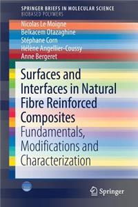Surfaces and Interfaces in Natural Fibre Reinforced Composites
