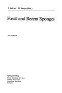 Fossil and Recent Sponges